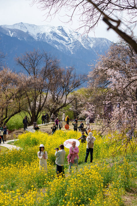 2026年4月2日,游客在林芝市巴宜区嘎拉村游玩。新华社记者 丁增尼达 摄
