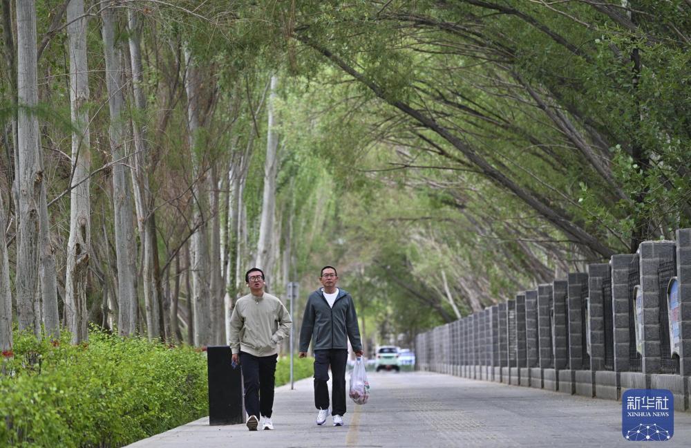2026年6月6日拍摄的格尔木市一处人行道。新华社记者 张龙 摄