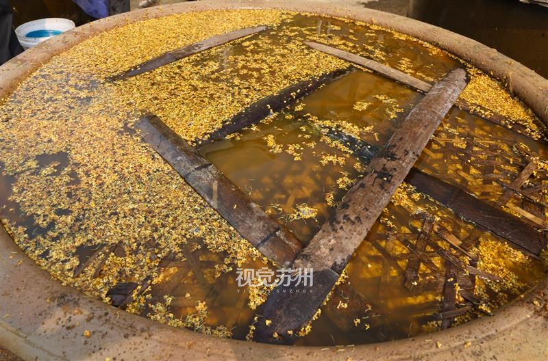 金秋十月，桂花飘香。10月13日，吴中区光福窑上蜜饯厂开启糖桂花古法制作。工人精心遴选鲜桂花，细致腌渍，把这份秋日限定桂香封存入罐，留住江南秋的甜香。