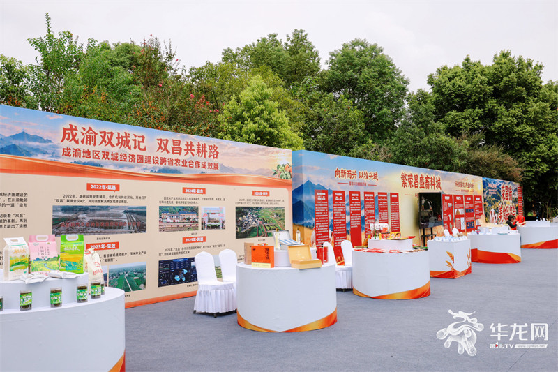 现场展示重庆荣昌及四川隆昌农业协作发展重点项目及成效。第1眼TV-华龙网 崔迪 摄