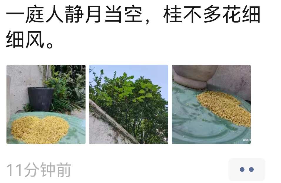 微信图片_20261014100830.png