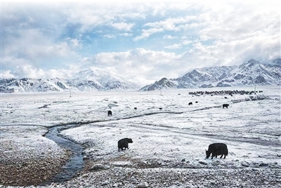 三江源国家公园。捷克苏马瓦国家公园前主任伊瑞&middot;马内克摄