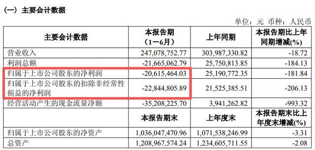 来源:敏芯股份2026年半年报