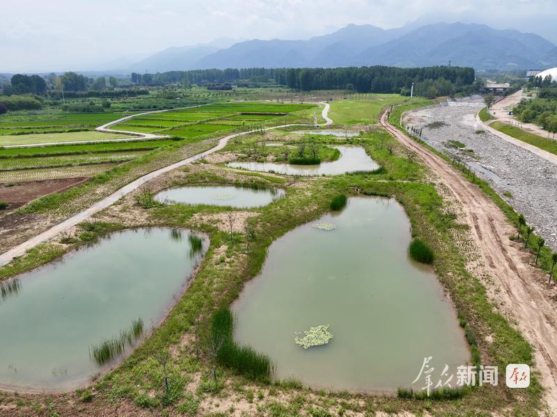野鸭戏水、白鹭归来!秦岭脚下,处处皆是田园画