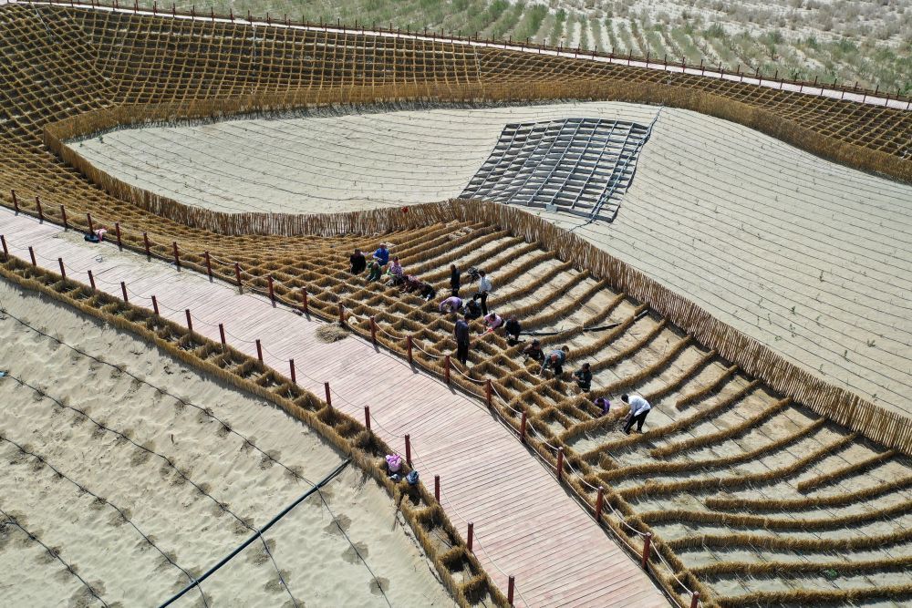 在新疆和田地区于田县阗东防沙治沙示范区，村民制作草方格（4月15日摄，无人机照片）。　 新华社记者 丁磊 摄