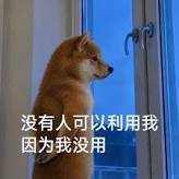 网速比别人慢,很可能是你被运营商套餐埋伏了。。。