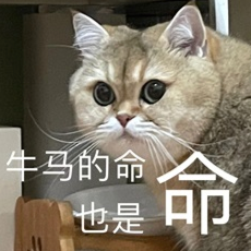 马斯克大火箭把月球撞了个坑