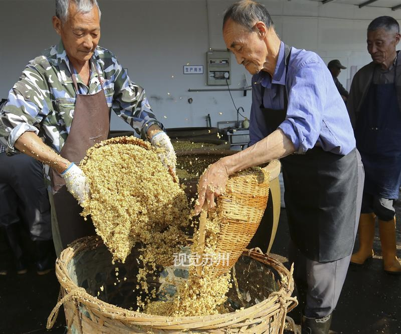 10月14日，吴中区光福镇窑上花果蜜饯厂门庭若市，许多市民游客前来观看、体验传统古法手工制作糖桂花，这里成为金秋最火的网红打卡地。