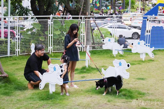 市民牵着爱宠在坂美公园的独立宠物乐园游玩。(记者 唐光峰 摄)