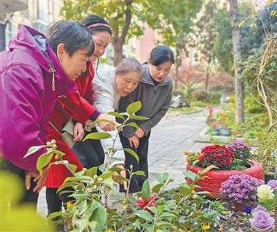 安徽合肥市，荷塘月色小区的共享花园里，居民聚在一起交流养花经验。佘 唐摄