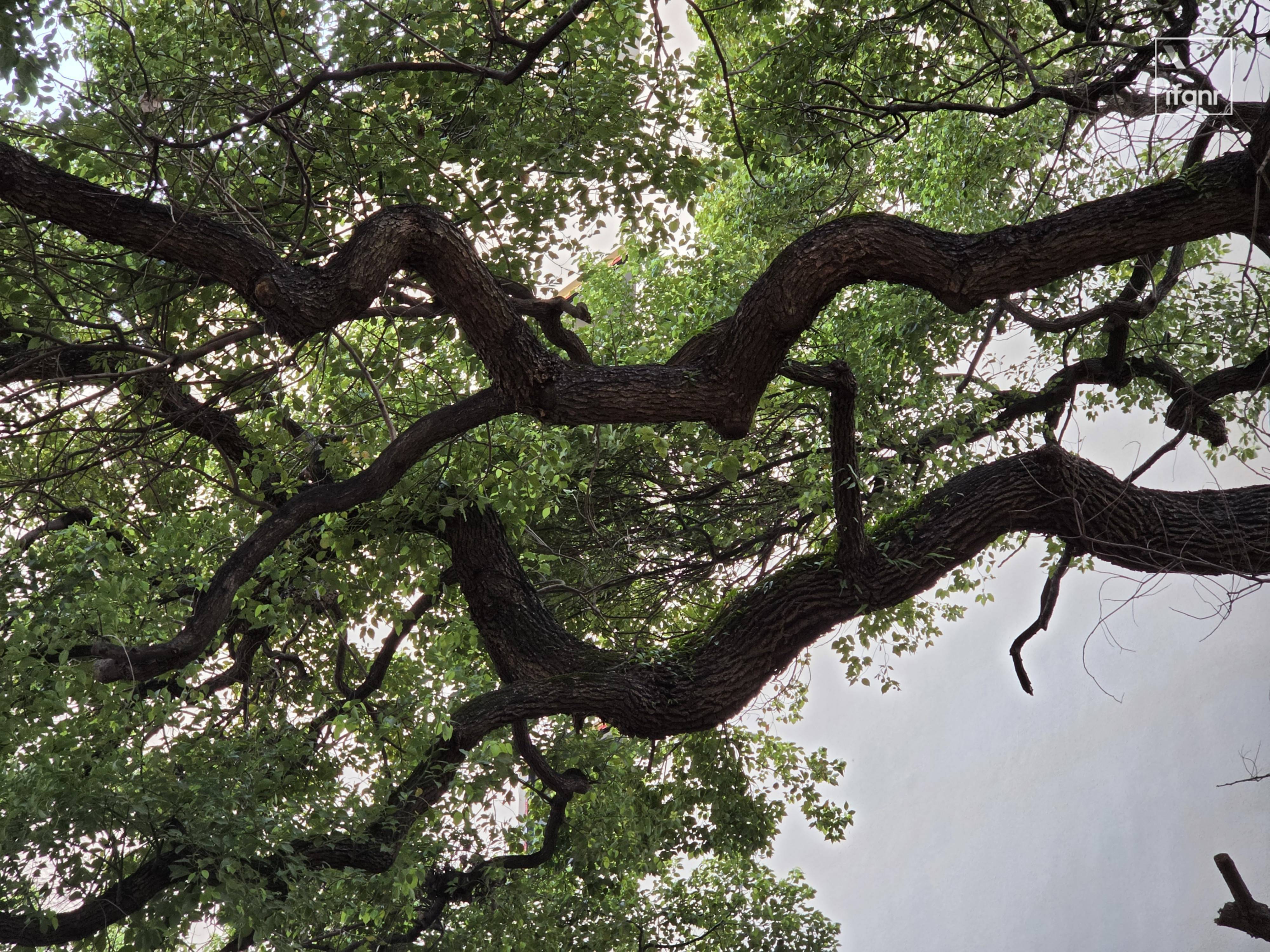 2026 年第一个机皇,粉丝先买|三星 S26 Ultra 评测