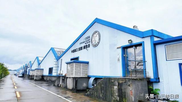 清江鲟鱼谷养殖车间（孙玉敏摄）