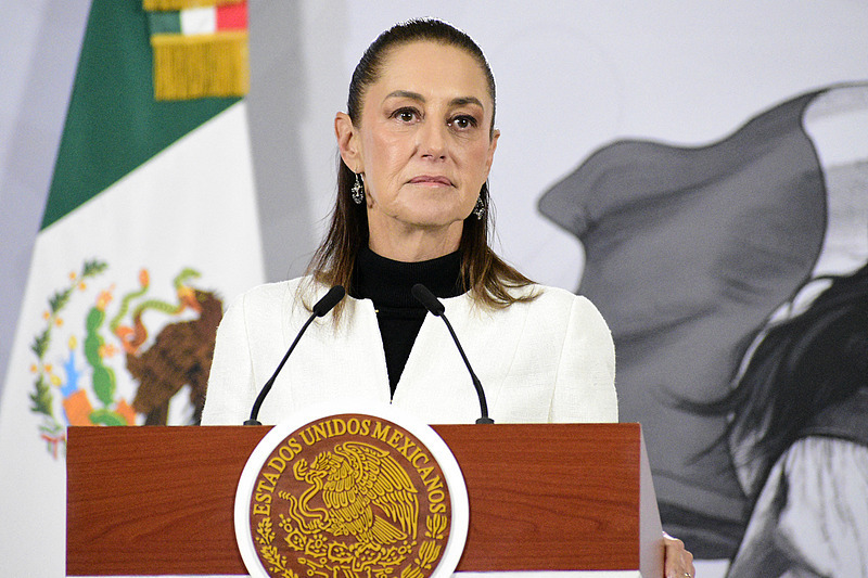 △墨西哥总统克劳迪娅·辛鲍姆(资料图)