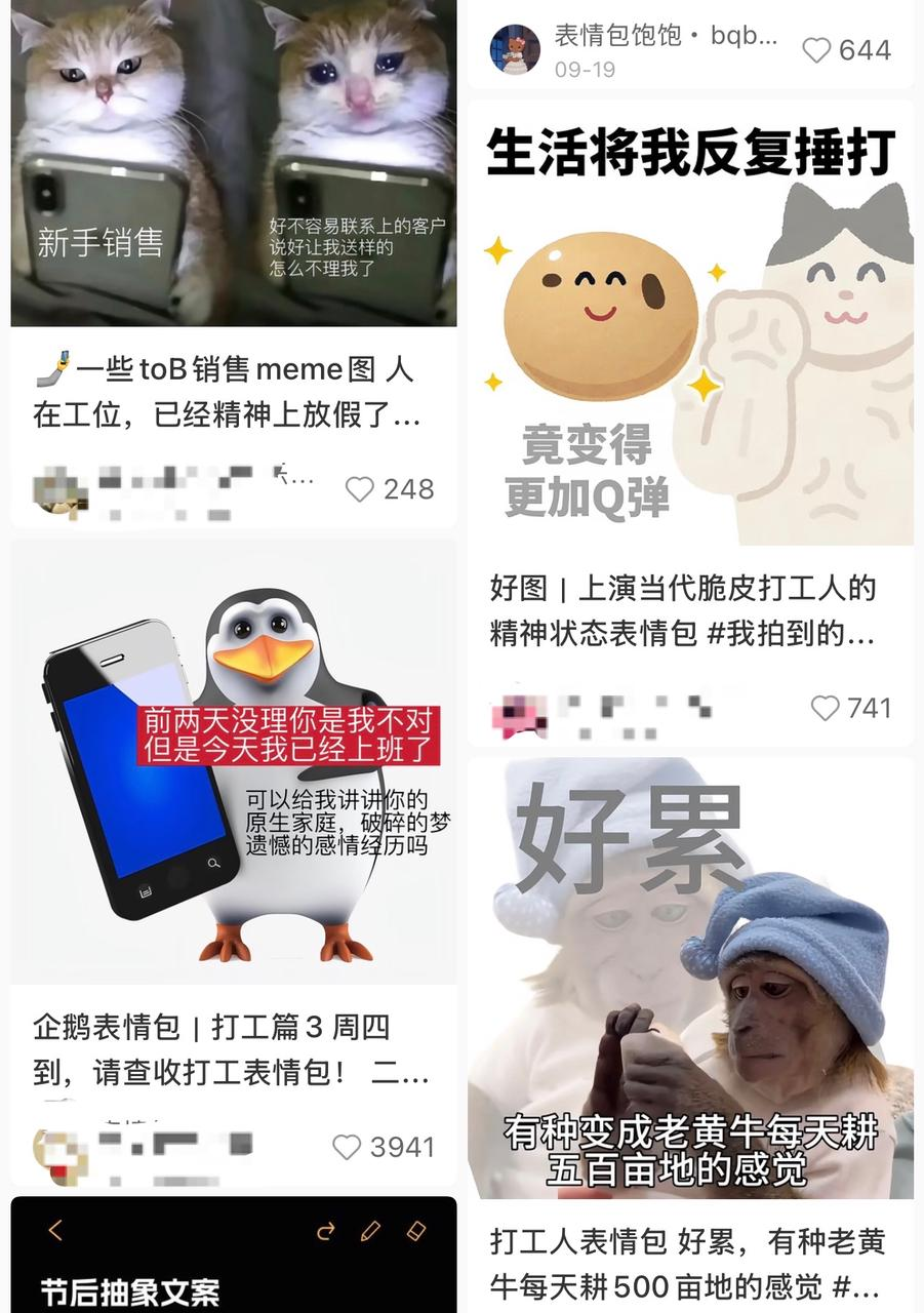 图源:小红书