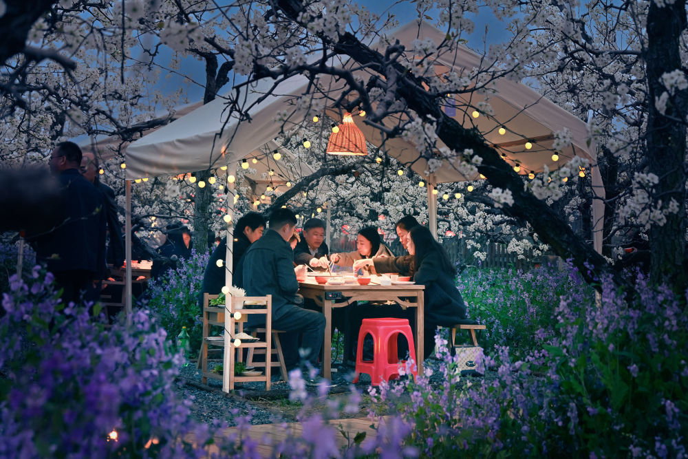 2026年3月30日，游客在安徽省宿州市砀山县梨小萌欢乐梨园品尝梨园火锅。新华社发（崔猛 摄）