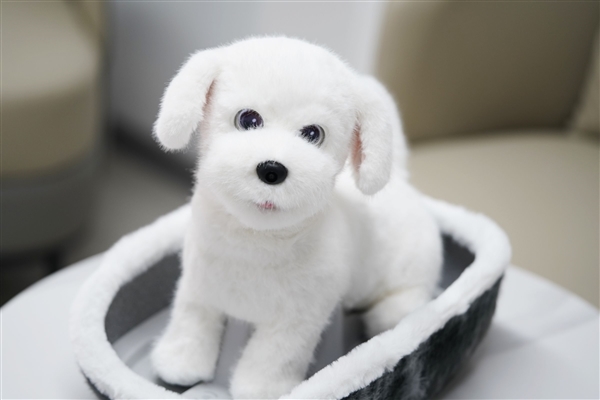 会撒娇能成长!科沃斯毛团陪伴机器人图赏