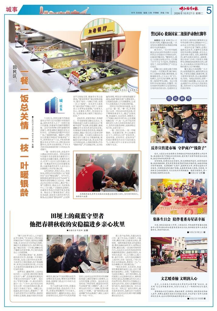 报纸版面