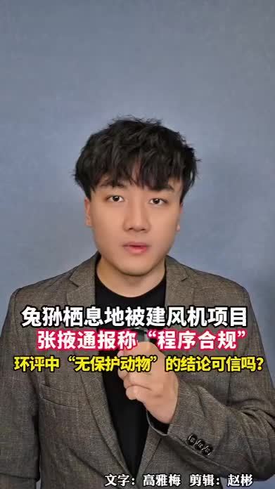 兔狲栖息地被建风机项目，张掖甘州通报称“程序合规”，环评中“无保护动物”的结论可信吗？