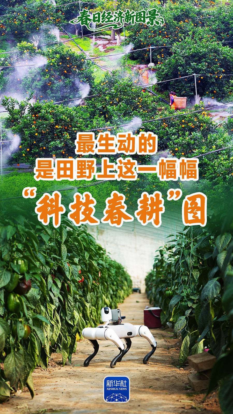 春日经济新图景|生动!这一幅幅“科技春耕”图