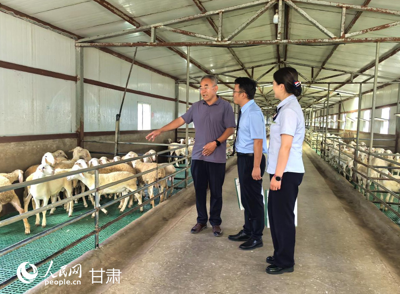 邮储银行环县支行工作人员把金融服务送到养殖基地。人民网记者 周婉婷摄