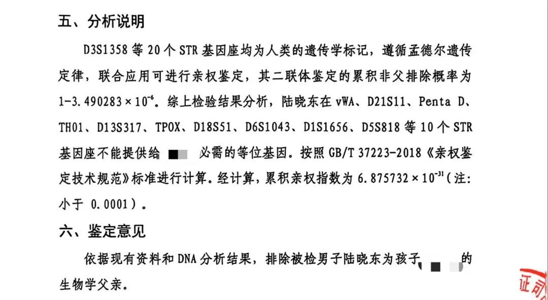 亲子鉴定报告 图/受访者提供