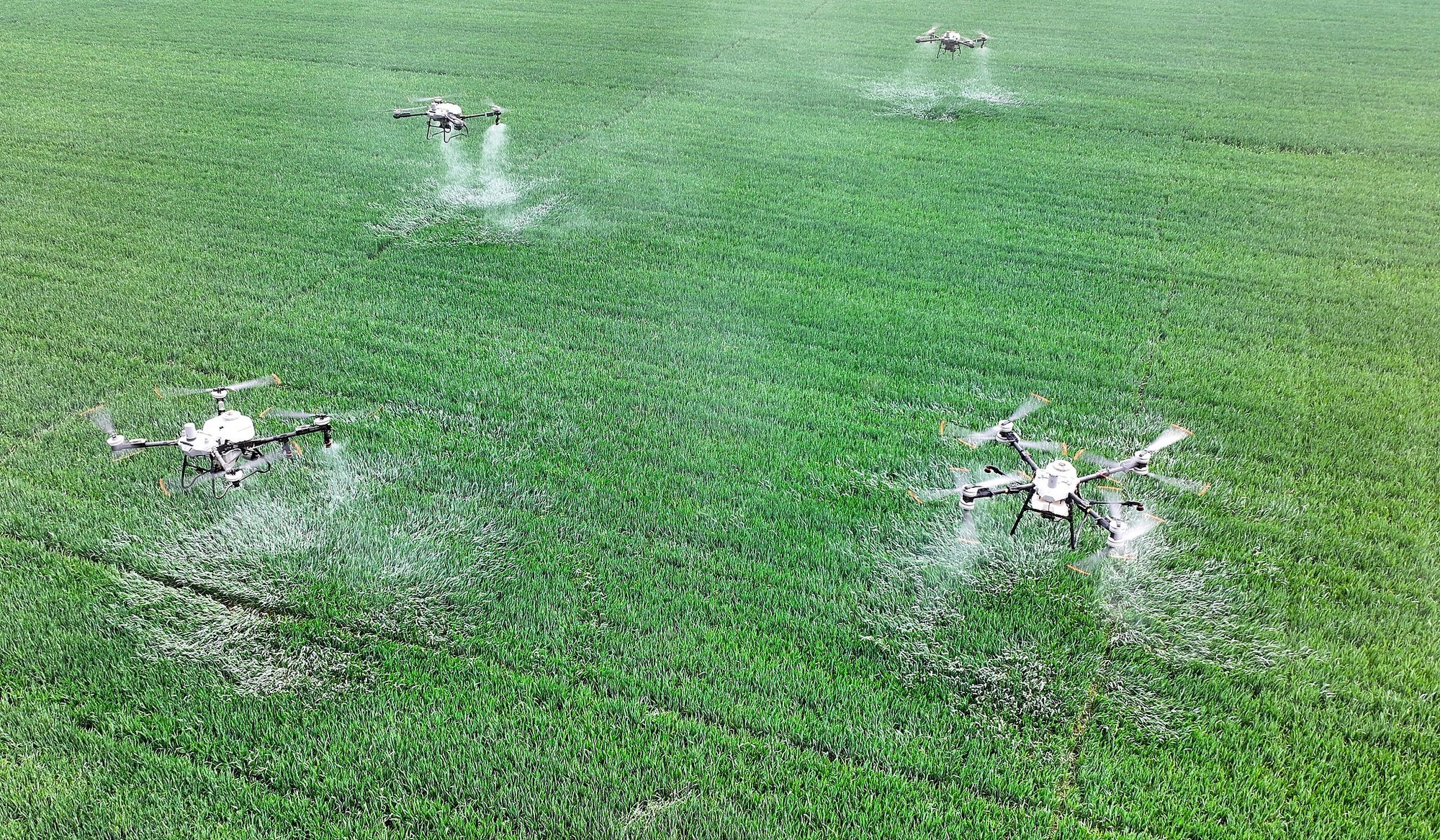 2025年4月9日，安徽省亳州市利辛县永兴镇诸王社区，种粮大户利用植保无人机给小麦喷洒药物。