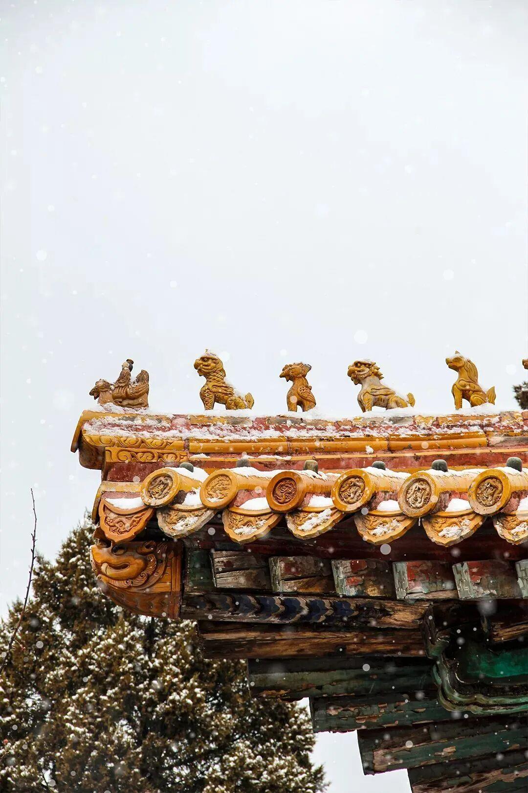 当第一片雪花悄落红墙,飞檐覆上蓬松的白,这座六百年的城,悄然变回记忆里的紫禁城。(来源:故宫博物院文化创意馆)