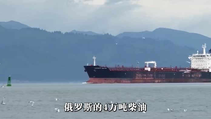 俄柴油起运，威特科夫曝出真相，普京不要短期油钱，是埋下依赖