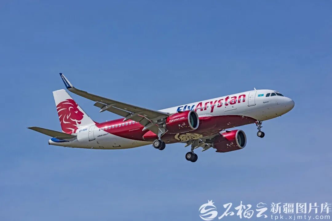 image_1791887595388