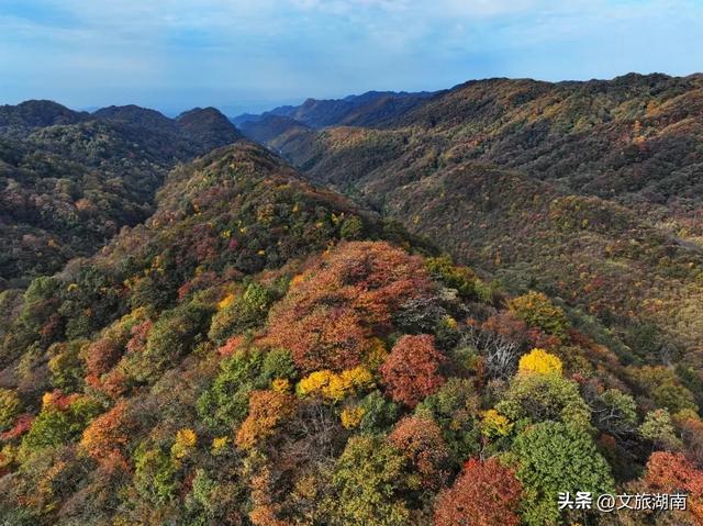 八大公山国家级自然保护区原始森林五彩缤纷。图/童迪