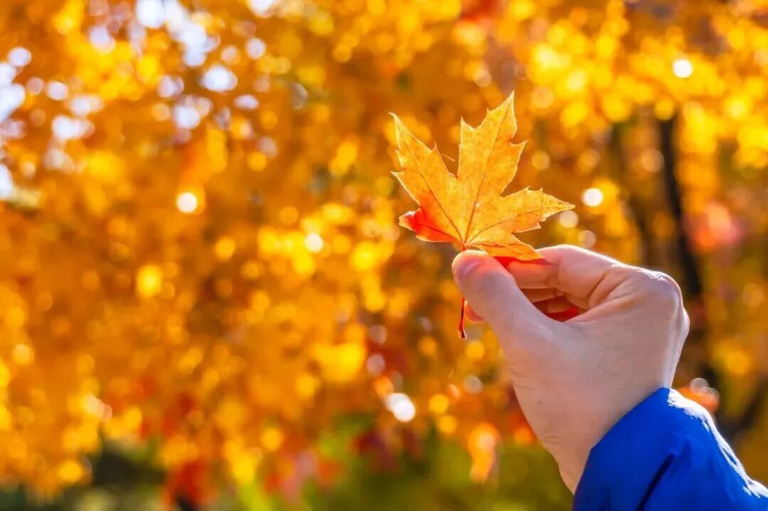 图源:“人民日报”微信公众号