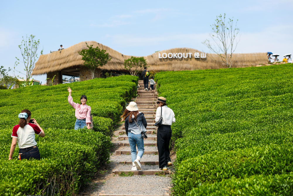 4月26日，游客在杭州市余杭区径山镇小古城村的茶山上游玩。新华社记者 江汉 摄