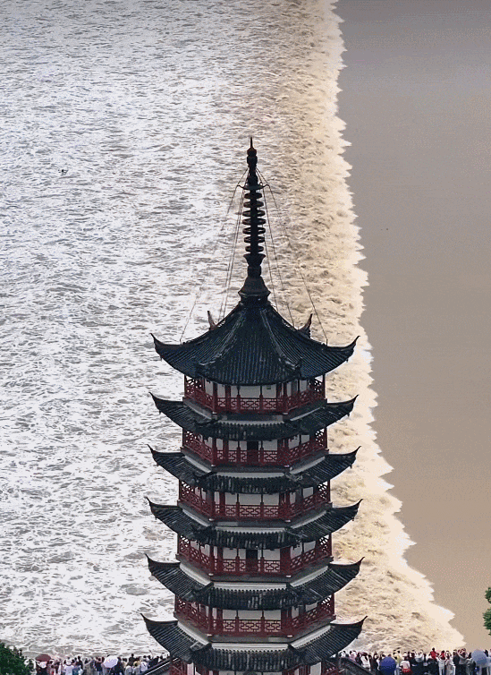 2.gif