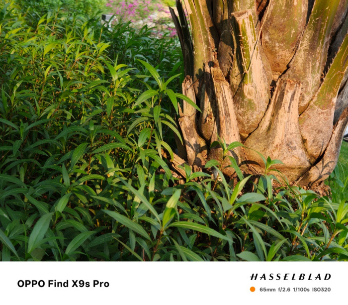 OPPO Find X9s Pro评测:双两亿口袋哈苏 旅拍神器