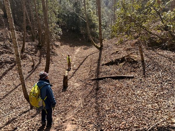 2月3日，此次云南兰坪金顶铅锌矿外围区块优选调查评价项目组负责人、中国地质调查局昆明自然资源综合调查中心矿产资源调查室高级工程师潘家荣手拿地质锤在地质勘探途中。受访者供图
