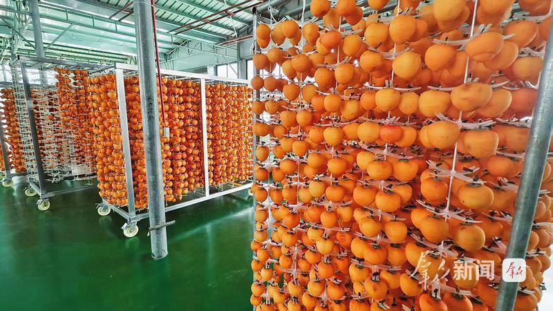 柿子挂架晾晒。(资料图)