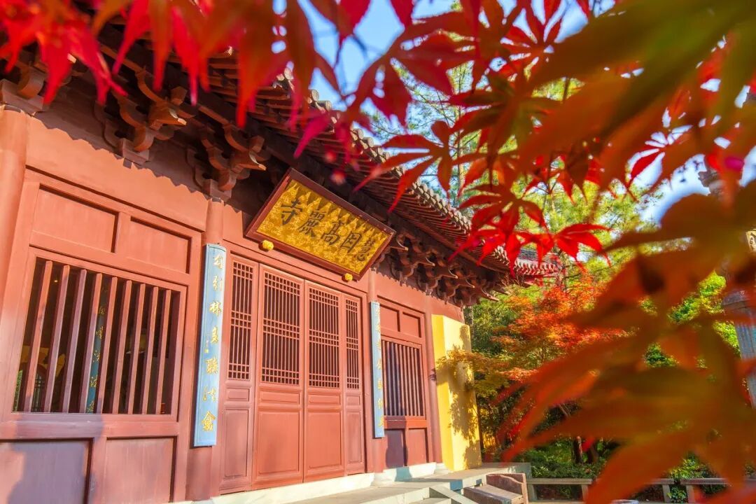 图虫创意-1442297743790047235.jpeg