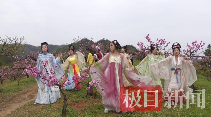 郧西赏花3.png