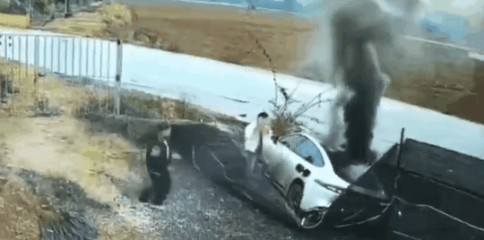 着火了乘客不会开门,得怪车企乱学特斯拉?