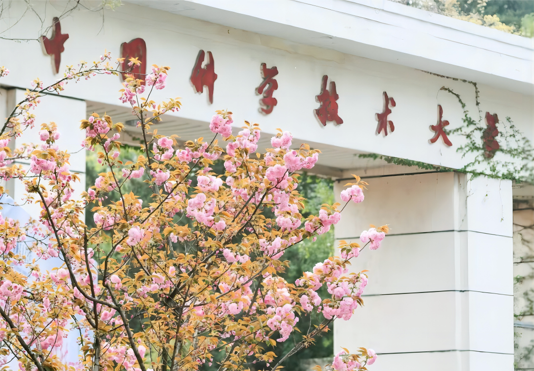 说到“合肥”和“科技”，人们往往想到中科大，但长鑫、蔚来、京东方这些龙头企业的崛起，并非高校资源的简单外溢。