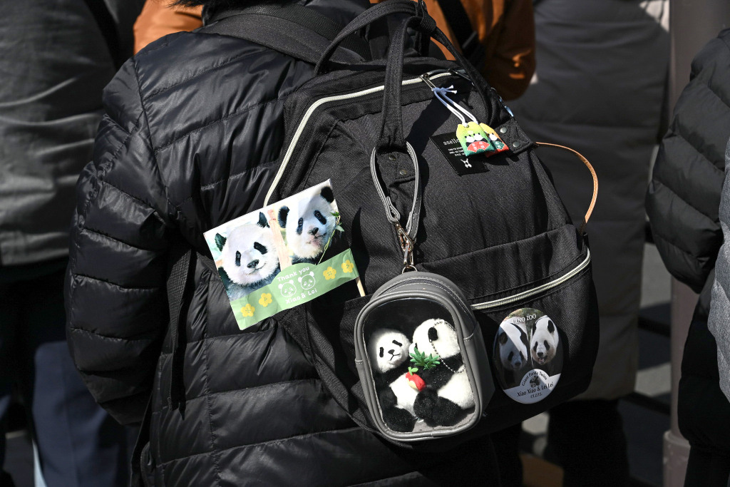 1月27日,日本东京,前来送行的民众背着大熊猫“晓晓”“蕾蕾”的毛绒玩具和旗子。