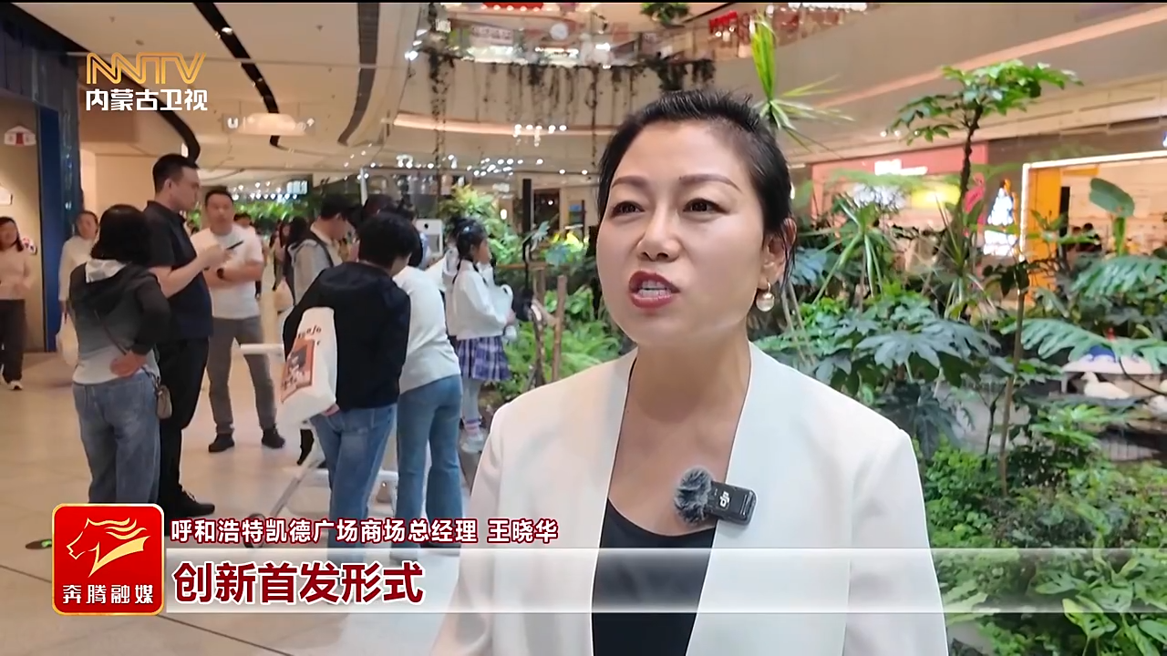视频截图