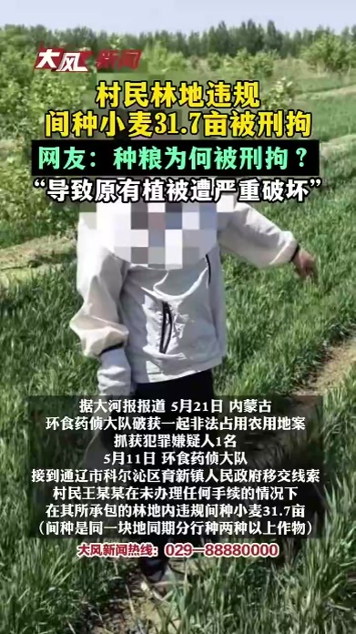 村民林地违规间种小麦31.7亩被刑拘，网友：种粮为何被刑拘？“导致原有植被遭严重破坏”