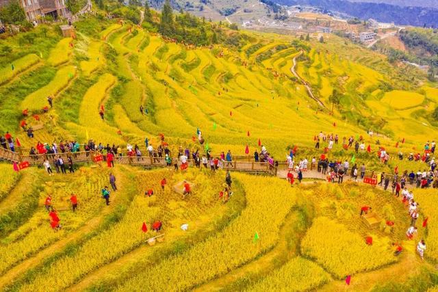 山背花瑶梯田 图/新湖南客户端