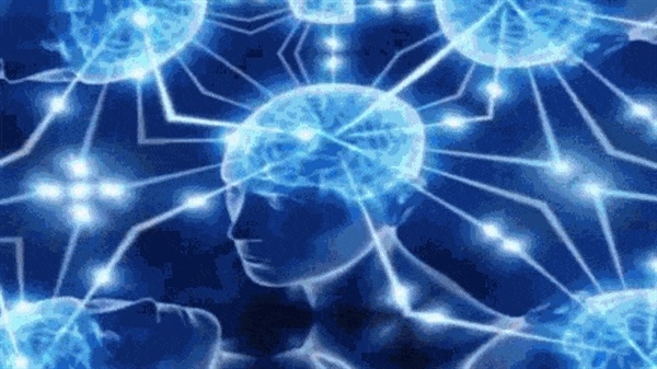 在接下来70%的人生里 我可能都要问“是AI做的吗?”