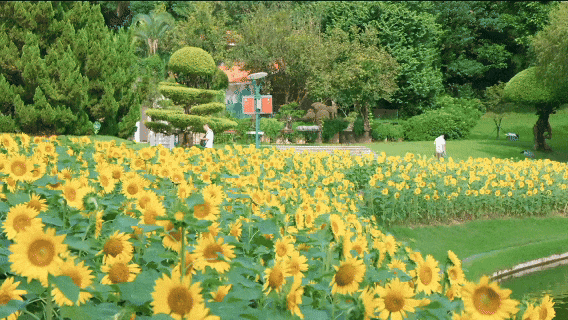 9月30日.gif
