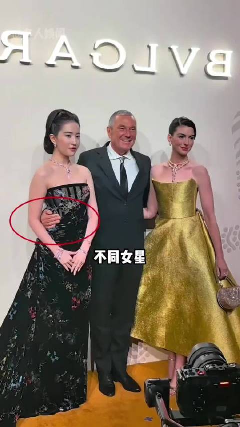 女星被金主搂腰名场面：白鹿强装营业股票配资正规网，陈都灵白眼外露股票配资正规网，刘亦菲尽显格局