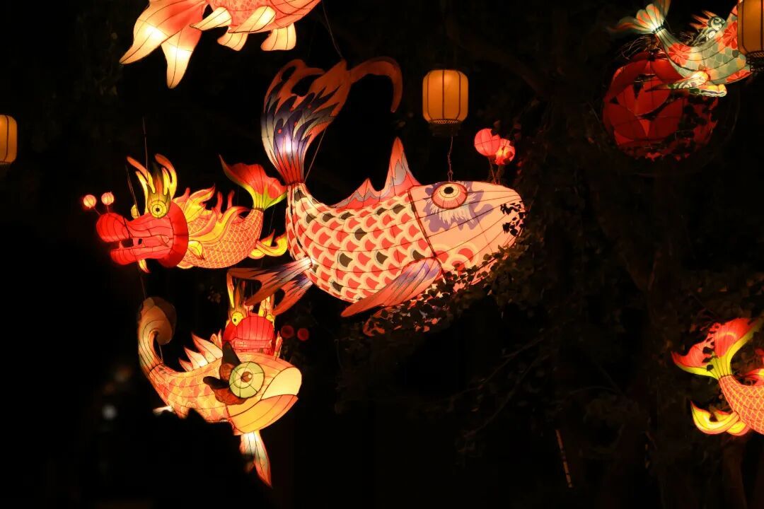摄图网_701201037_夜晚节日灯会鱼形传统灯笼_(企业商用).jpg