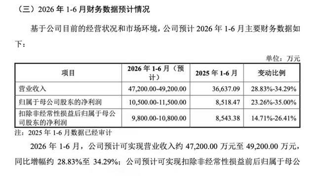 招股书披露的2026年上半年财务预计数据
