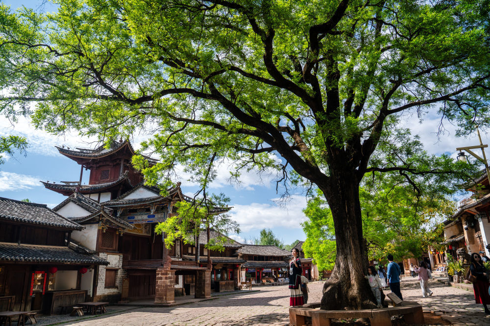 镜观&middot;回响｜与古为新 文脉绵长